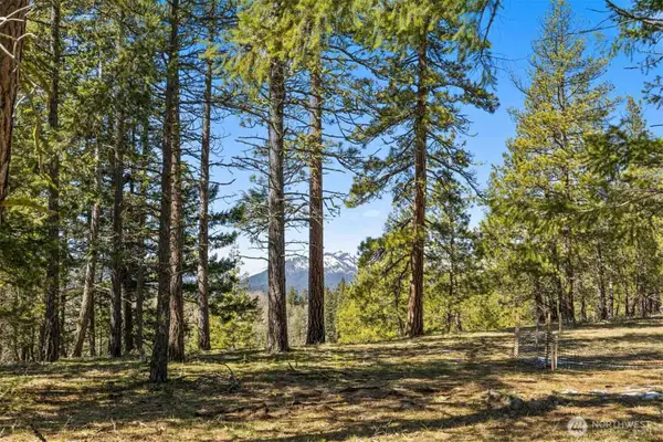 36 Wanawish Loop #36, Cle Elum, WA 98922