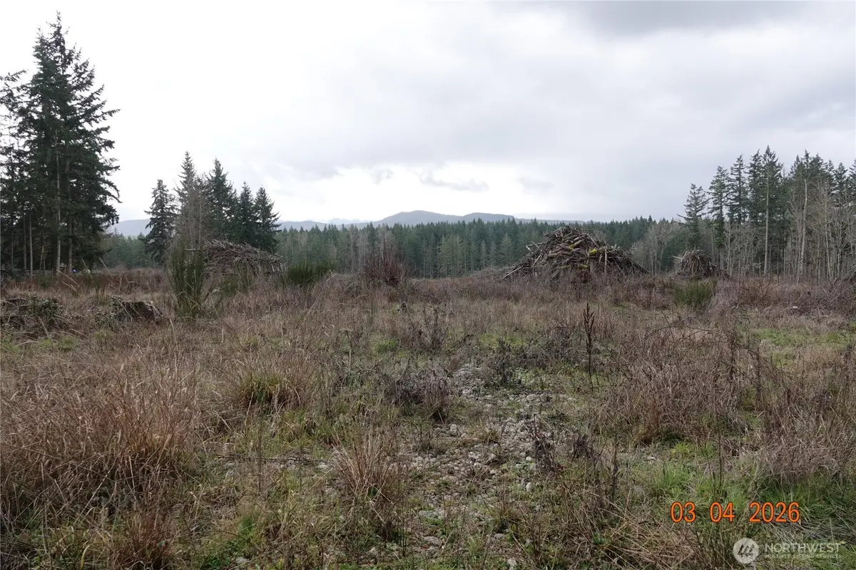 1806 414th Street E, Eatonville, WA 98328 - #1