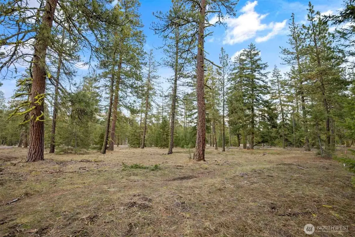 28 Wanawish Loop #28, Cle Elum, WA 98922 - #1