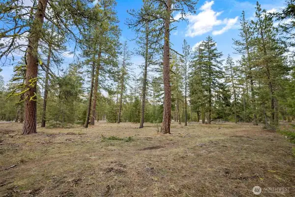 28 Wanawish Loop #28, Cle Elum, WA 98922