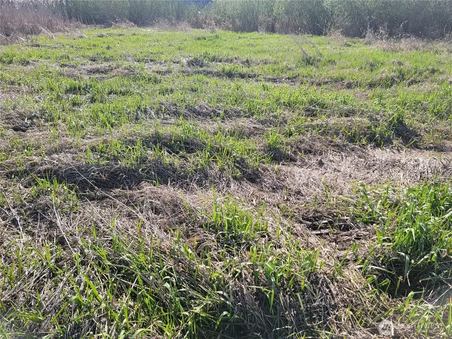 1408 W Main Street, Auburn, WA 98001 - #2