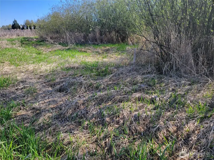 1408 W Main Street, Auburn, WA 98001 - #3