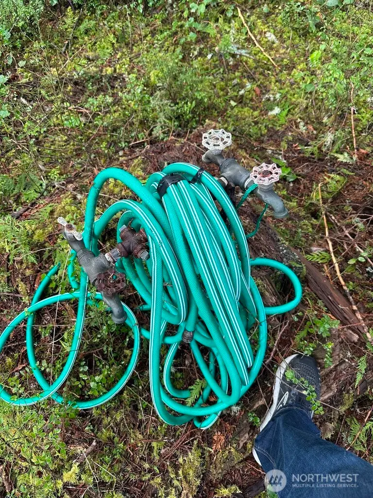 44 Robin Lane, Pacific Beach, WA 98571 - #3