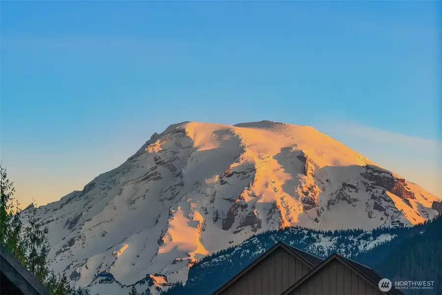 118 Burl Lane, Packwood, WA 98361 - #3