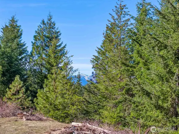 70 Liberty Bell Lane #70, Cle Elum, WA 98922