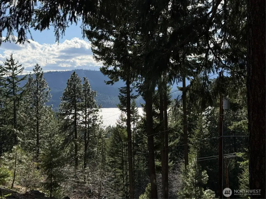 100 Lakeview Drive, Ronald, WA 98940 - #2