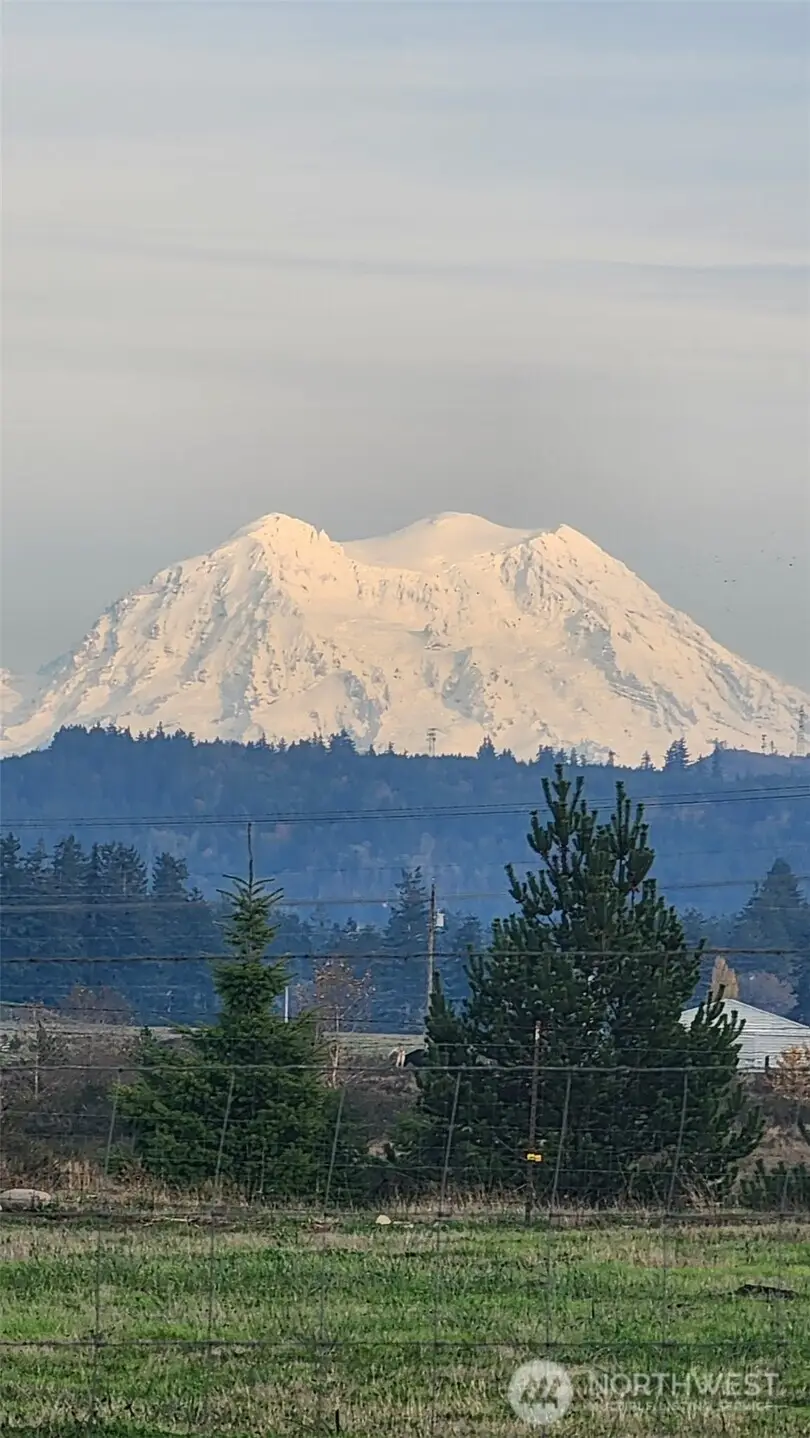 16826 Sheldon Lane Sw, Rochester, WA 98579 - #2