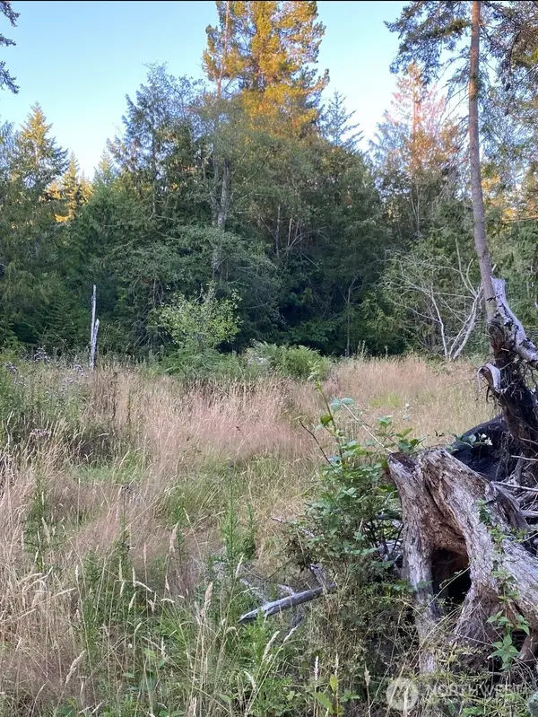 121 N Bagley Creek Road, Port Angeles, WA 98362