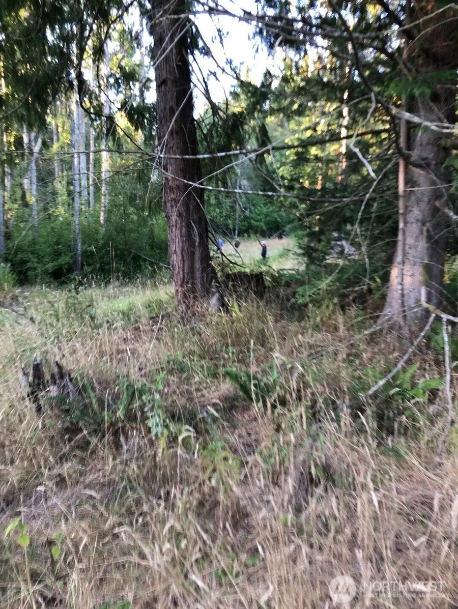 121 N Bagley Creek Road, Port Angeles, WA 98362 - #2