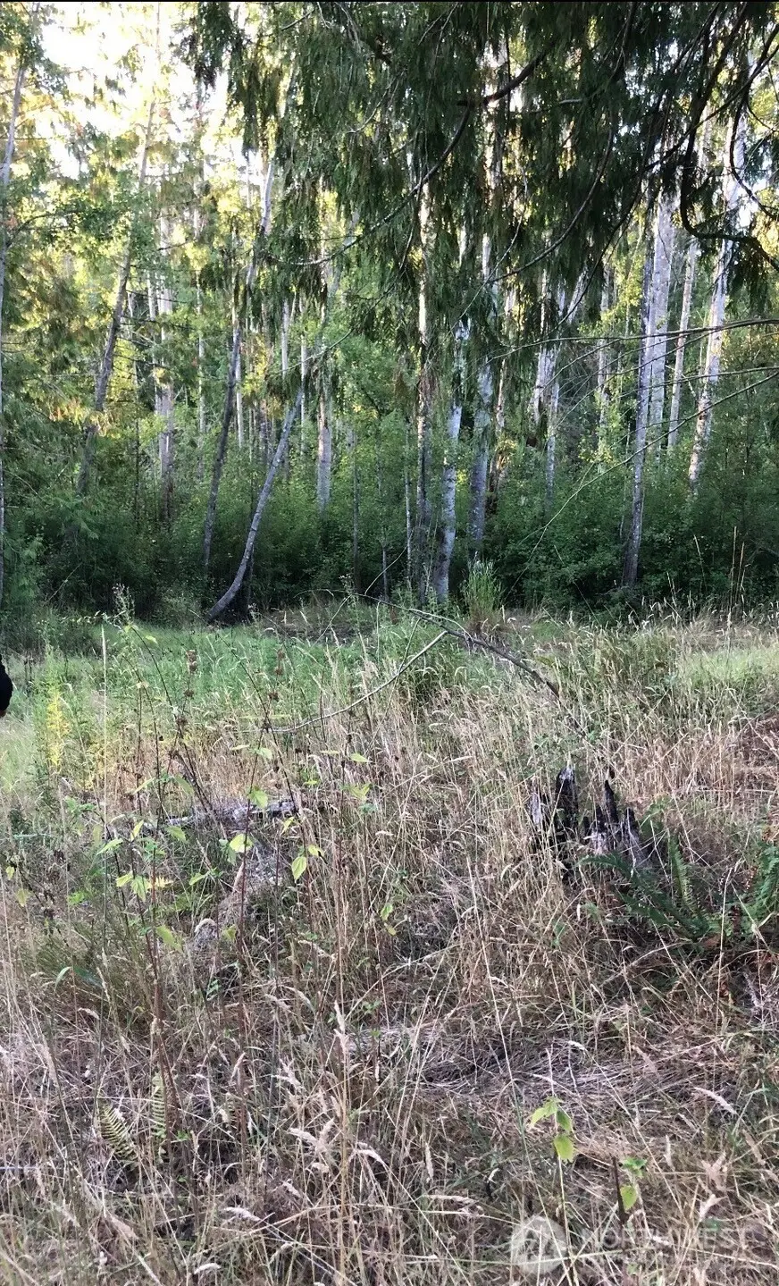 121 N Bagley Creek Road, Port Angeles, WA 98362 - #3