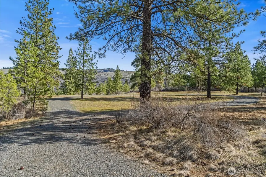 38800 E Sand Flats, Davenport, WA 99122 - #3