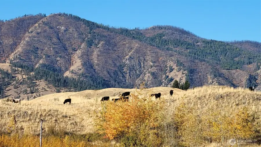 0 Harrier Lane, Tonasket, WA 98855 - #3