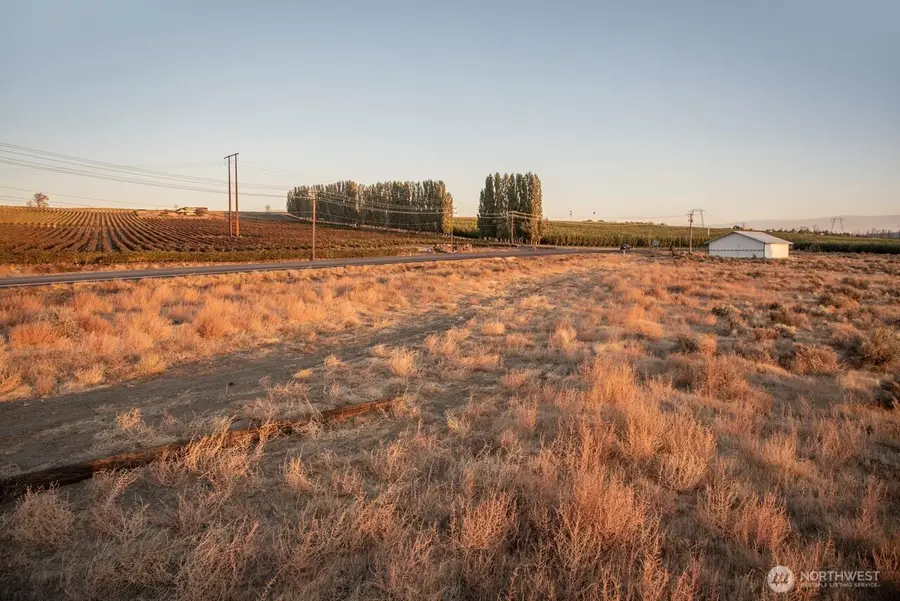 23564 Highway 243 S, Mattawa, WA 99349 - #2