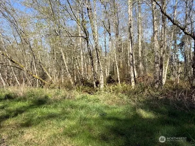 0 Ander Park Road, Freeland, WA 98249 - #2