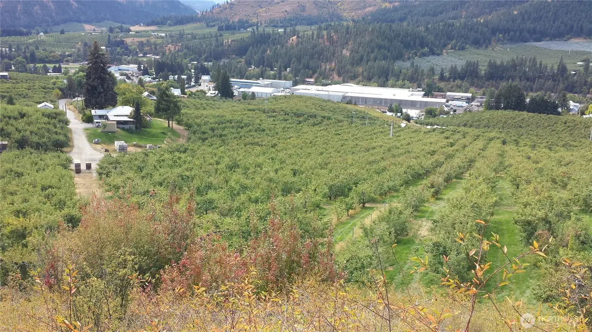 1 Ludwig Hill Rd, Peshastin, WA 98847 - #1