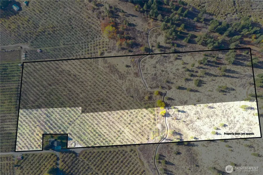 1 Ludwig Hill Rd, Peshastin, WA 98847 - #2