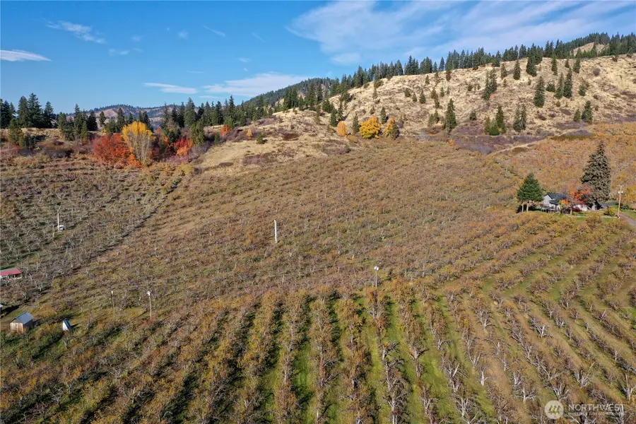 1 Ludwig Hill Rd, Peshastin, WA 98847 - #3