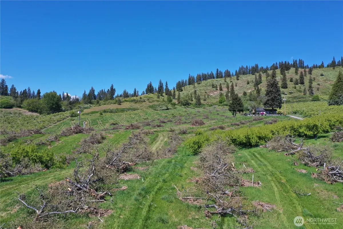 3 Ludwig Hill Rd, Peshastin, WA 98847 - #1