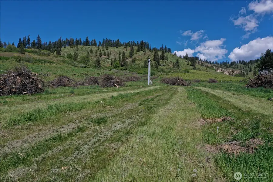 3 Ludwig Hill Rd, Peshastin, WA 98847 - #3