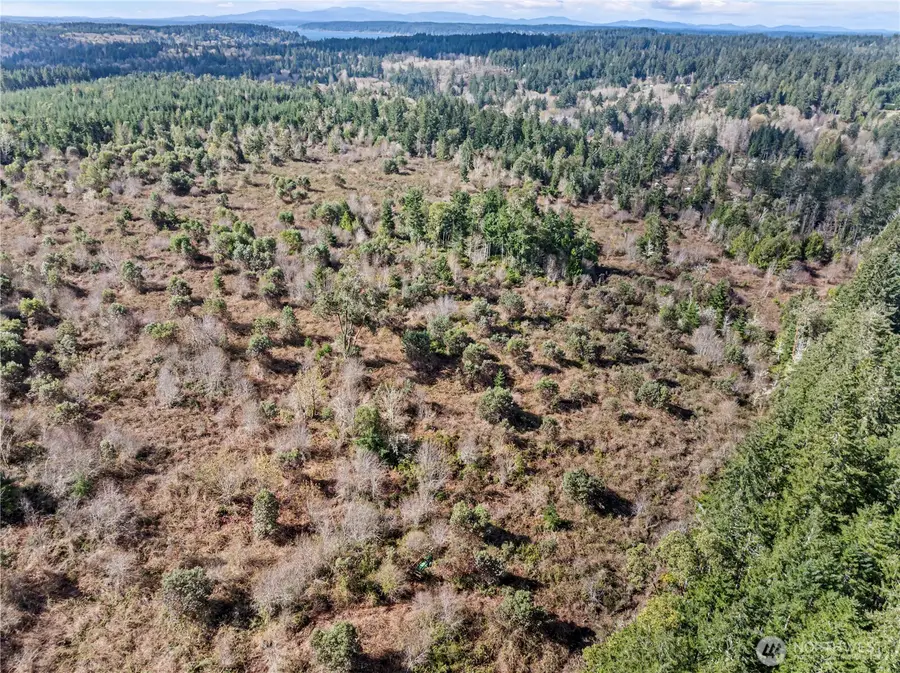 17908 16th Street Sw, Lakebay, WA 98349 - #2