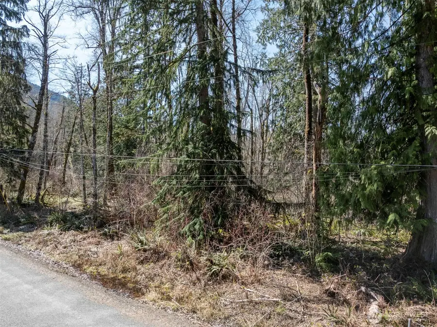 0 Fairway Drive, Eatonville, WA 98328 - #3