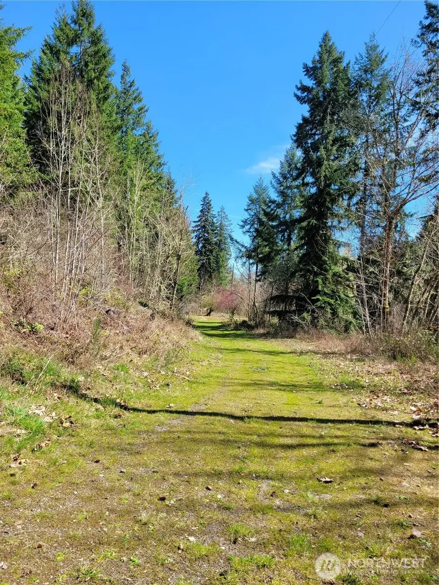 41325 109 Avenue Ct E, Eatonville, WA 98328 - #2