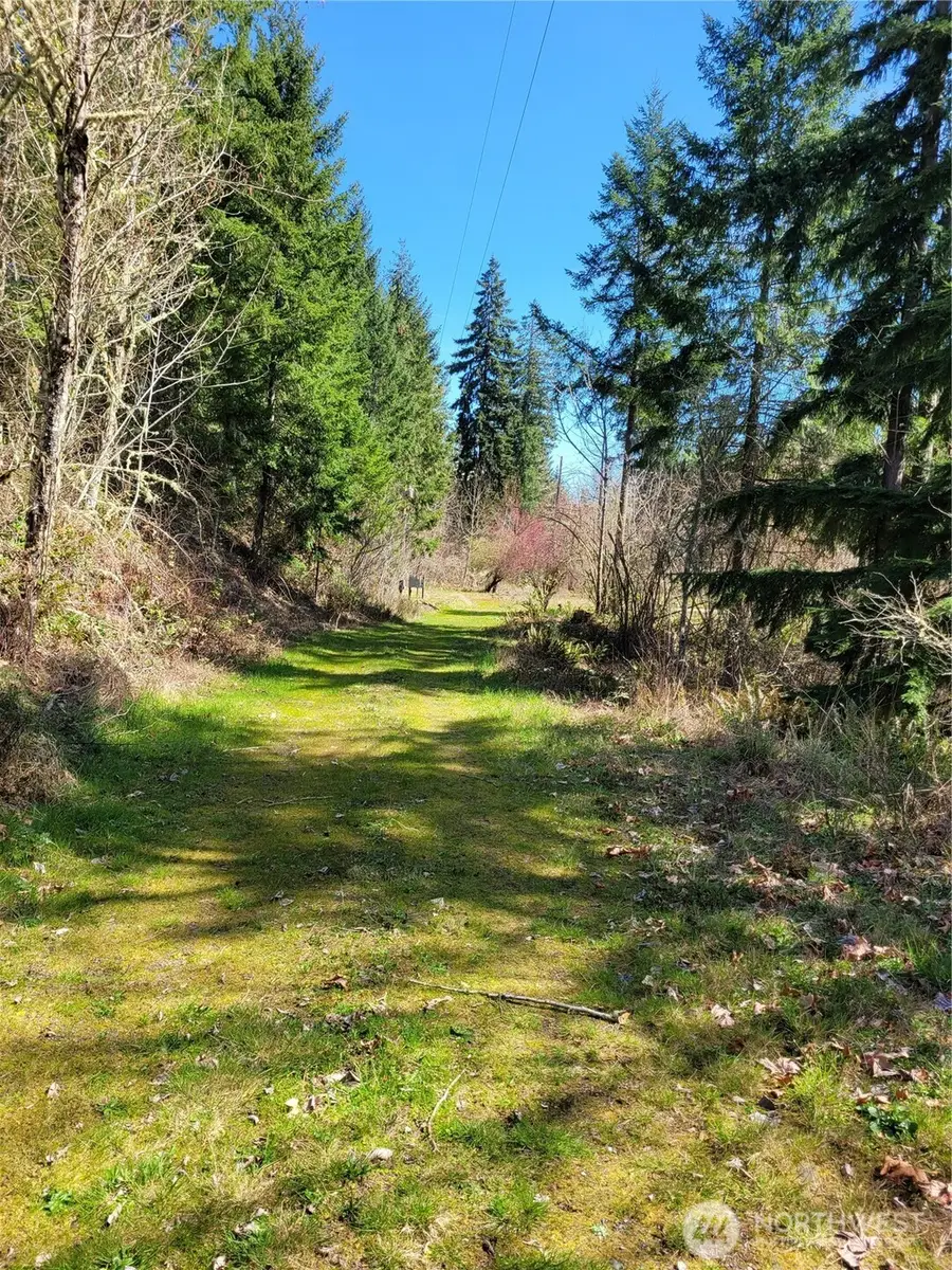 41325 109 Avenue Ct E, Eatonville, WA 98328 - #3