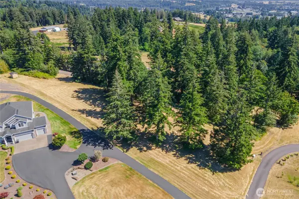 165 Saturn Ave, Woodland, WA 98674