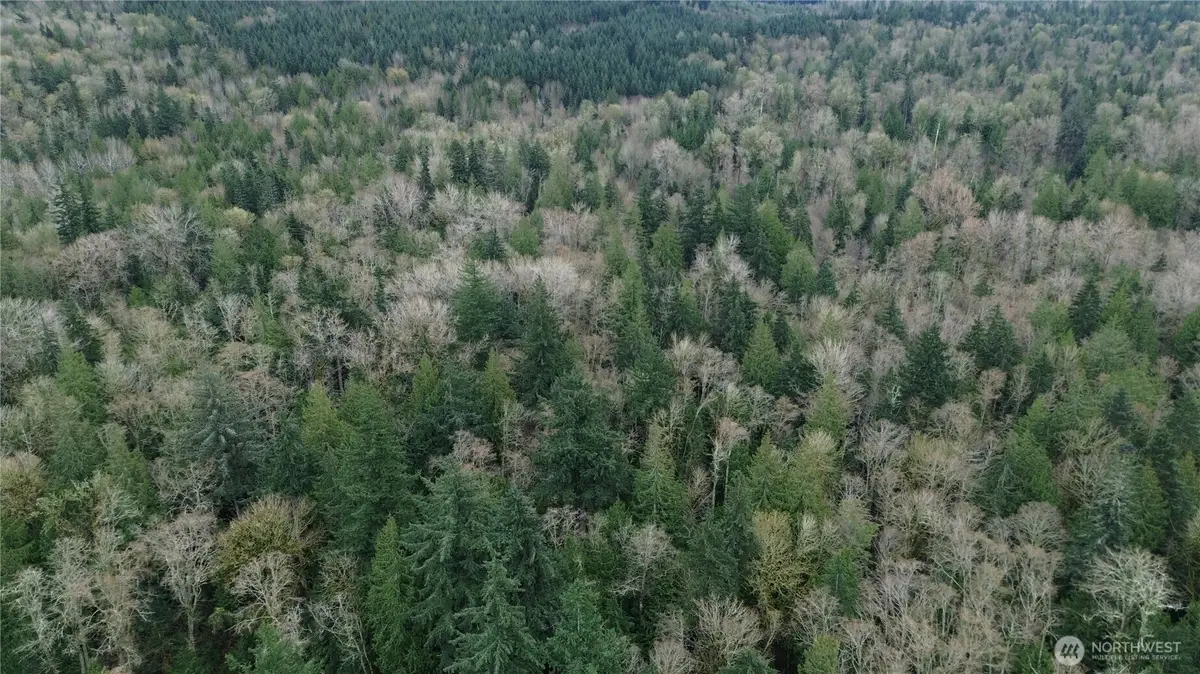 9 E Street #9, Bellingham, WA 98225 - #1