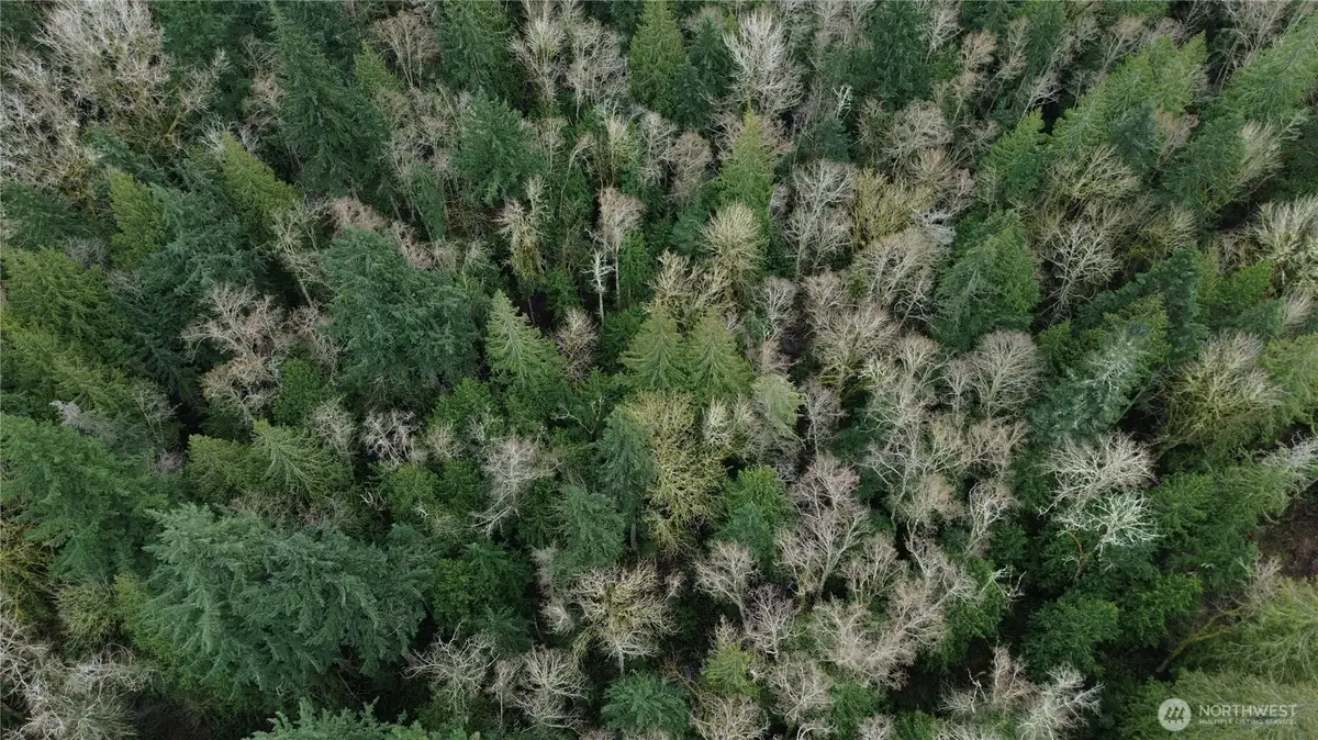 10 E Street #10, Bellingham, WA 98225 - #1