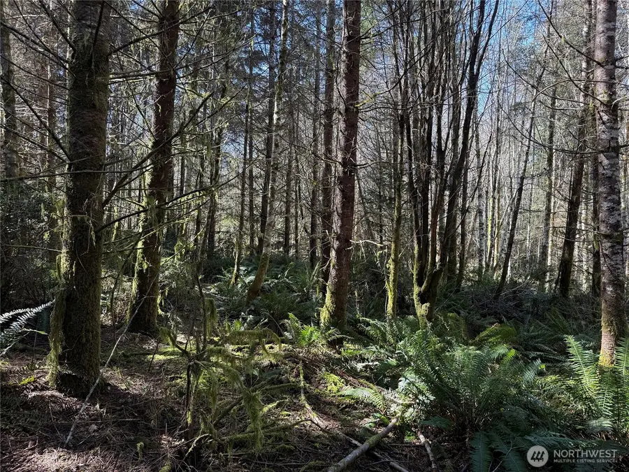 1 Xx E Case View Place #GOVT Lot 1, Shelton, WA 98584 - #2