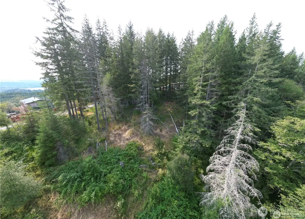 50113 146th Avenue E, Eatonville, WA 98328 - #1