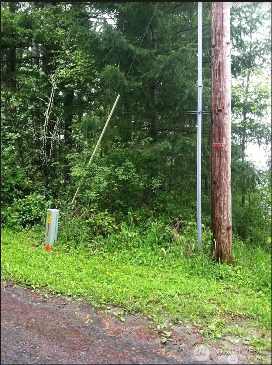 50113 146th Avenue E, Eatonville, WA 98328 - #2