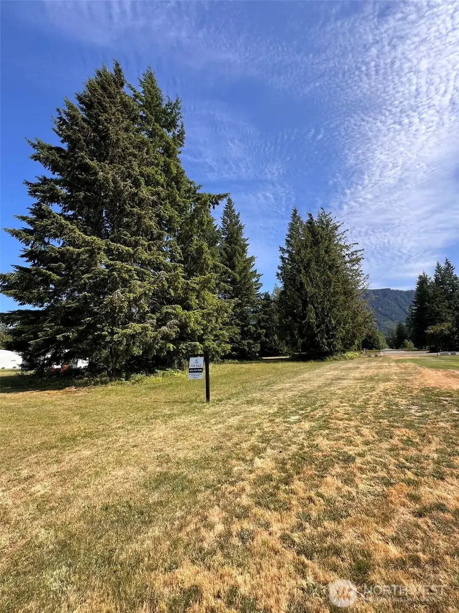 0 Shelton Road, Randle, WA 98377 - #3