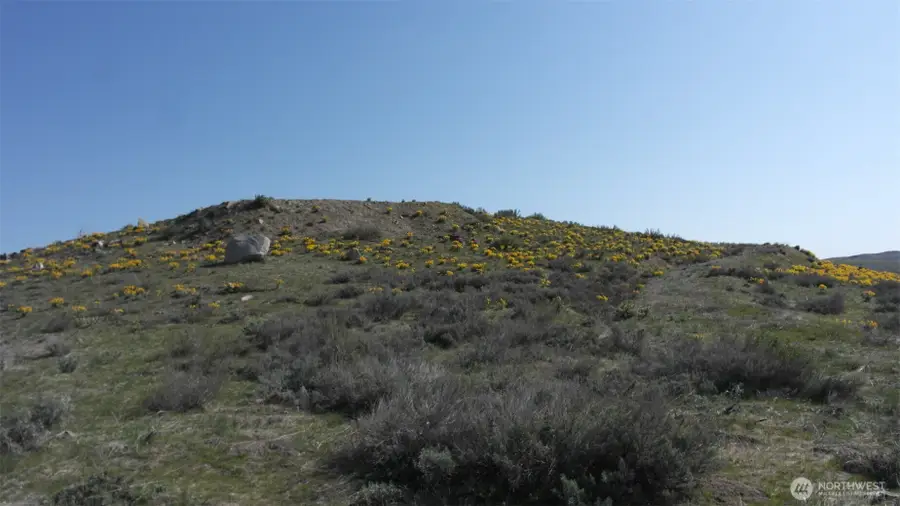 31 Cowboy Road #31, Methow, WA 98834 - #2