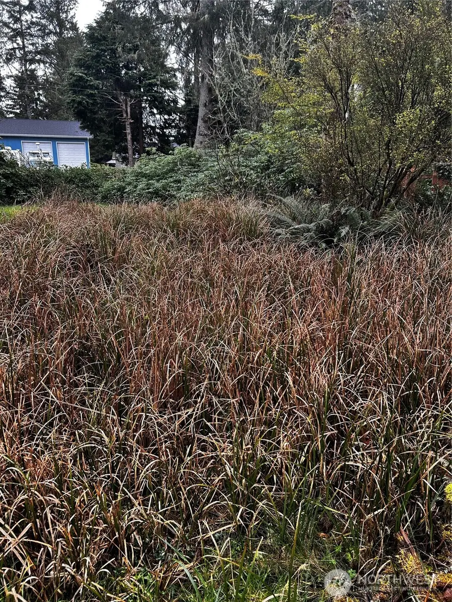 379 Eridani Loop Se #105 and 106, Ocean Shores, WA 98569 - #2