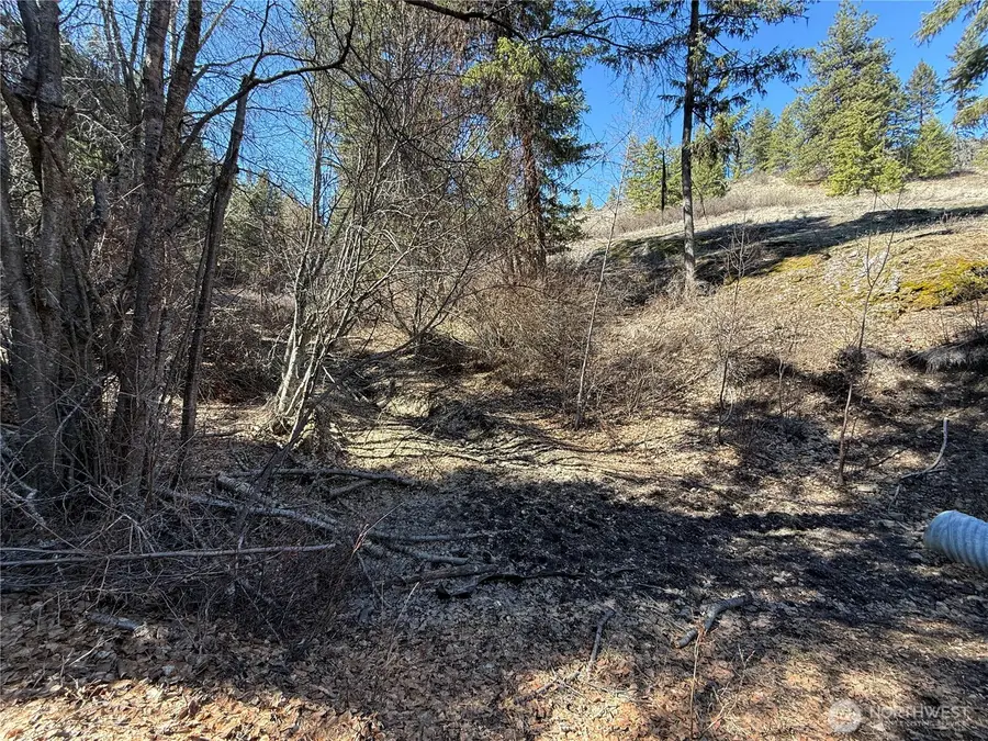 0 Coogan Creek Road, Wauconda, WA 98859 - #3