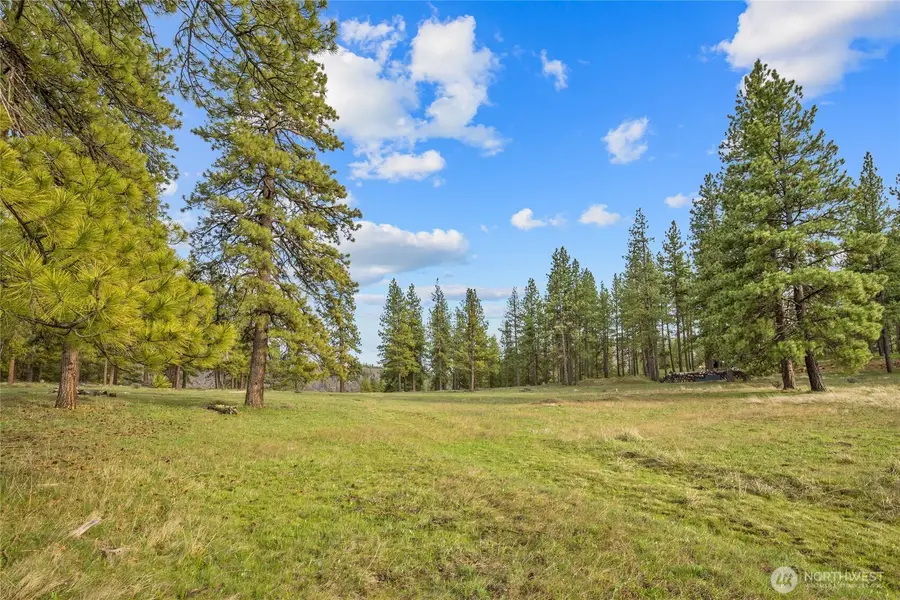 297 Swauk Pines Road #3-B, Cle Elum, WA 98922 - #2