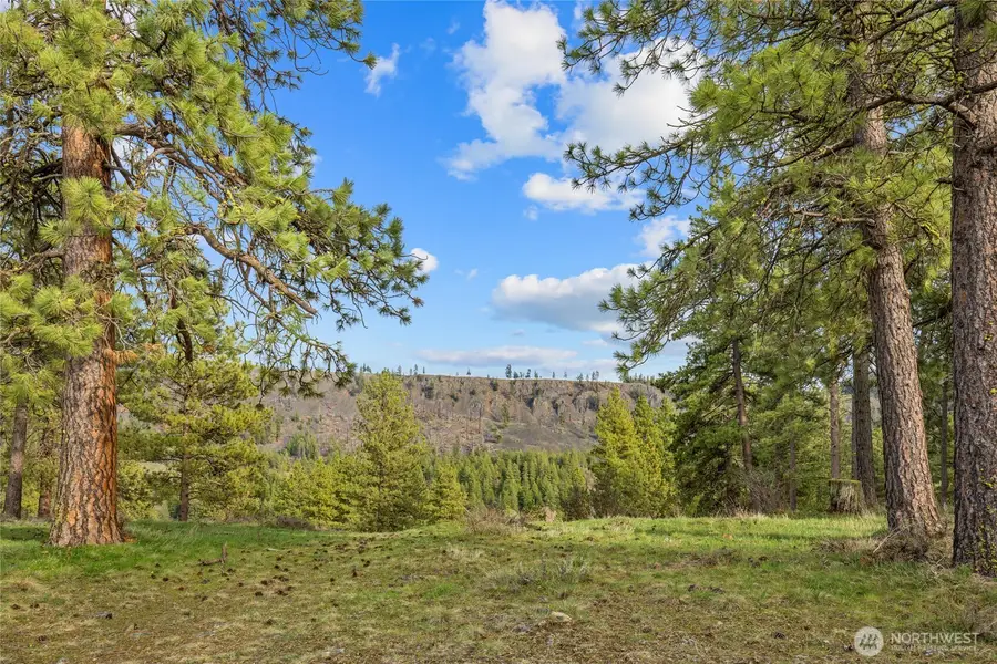 297 Swauk Pines Road #3-B, Cle Elum, WA 98922 - #3