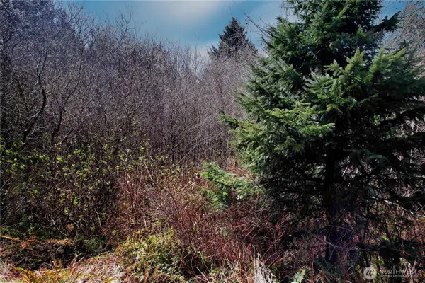 31 Ocean Beach Road #35-38, Pacific Beach, WA 98571