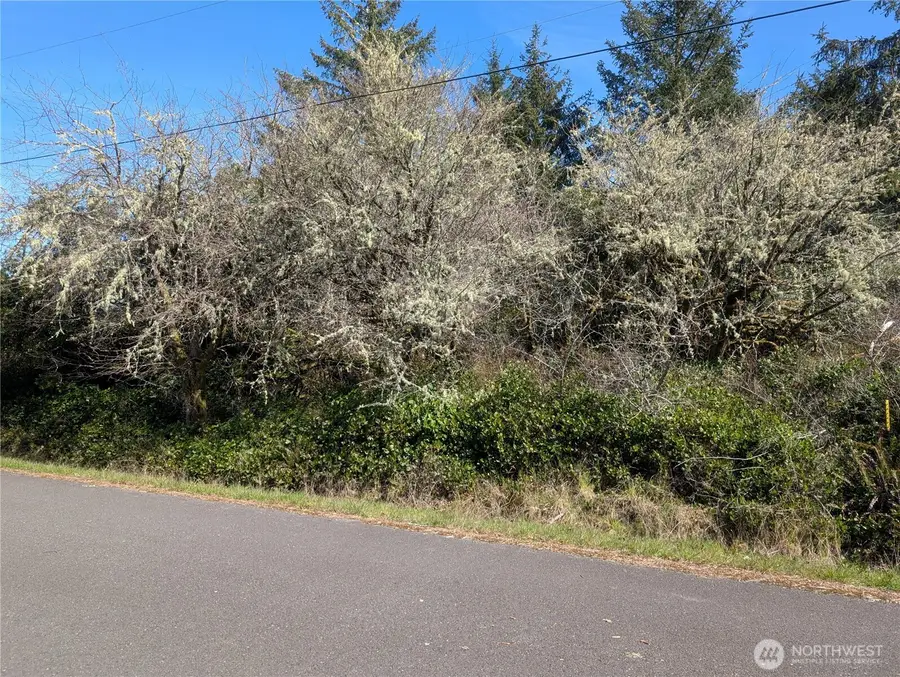 133 Cloquallum Street Se #184, Ocean Shores, WA 98569 - #2