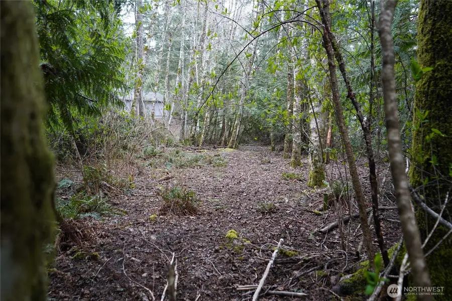 321 E Ballycastle Way, Shelton, WA 98584 - #2