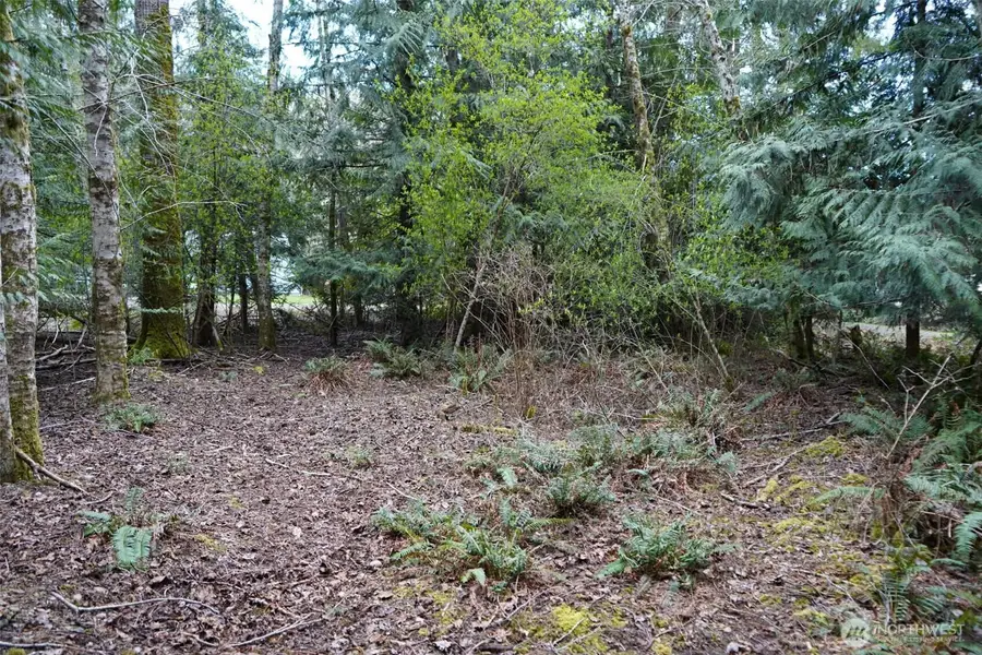 321 E Ballycastle Way, Shelton, WA 98584 - #3