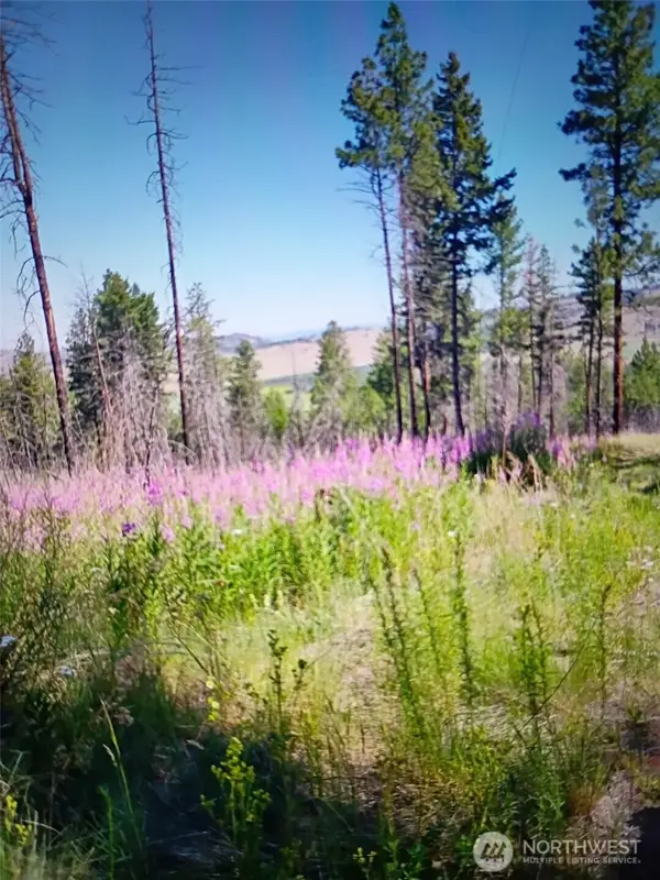 111 J H Green Rd, Tonasket, WA 98855