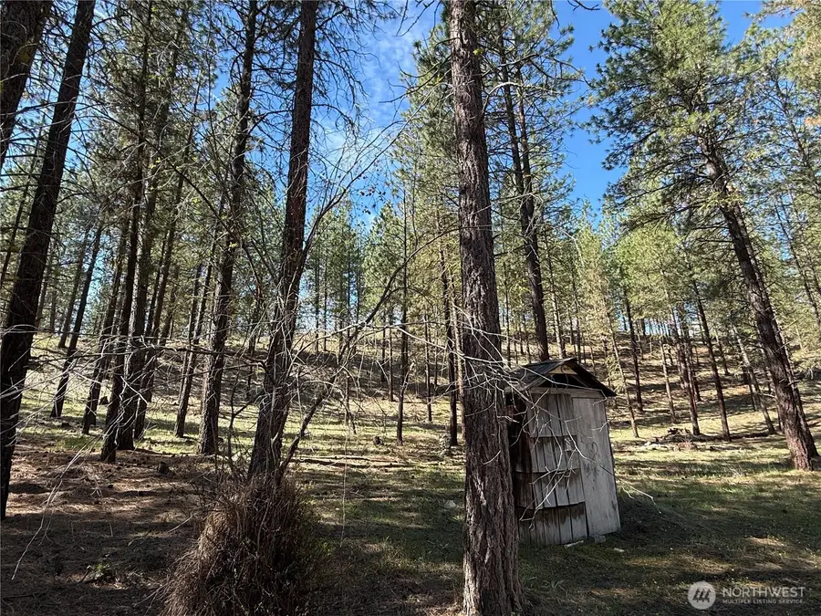 87 Larkspur Drive #61, Winthrop, WA 98862 - #3