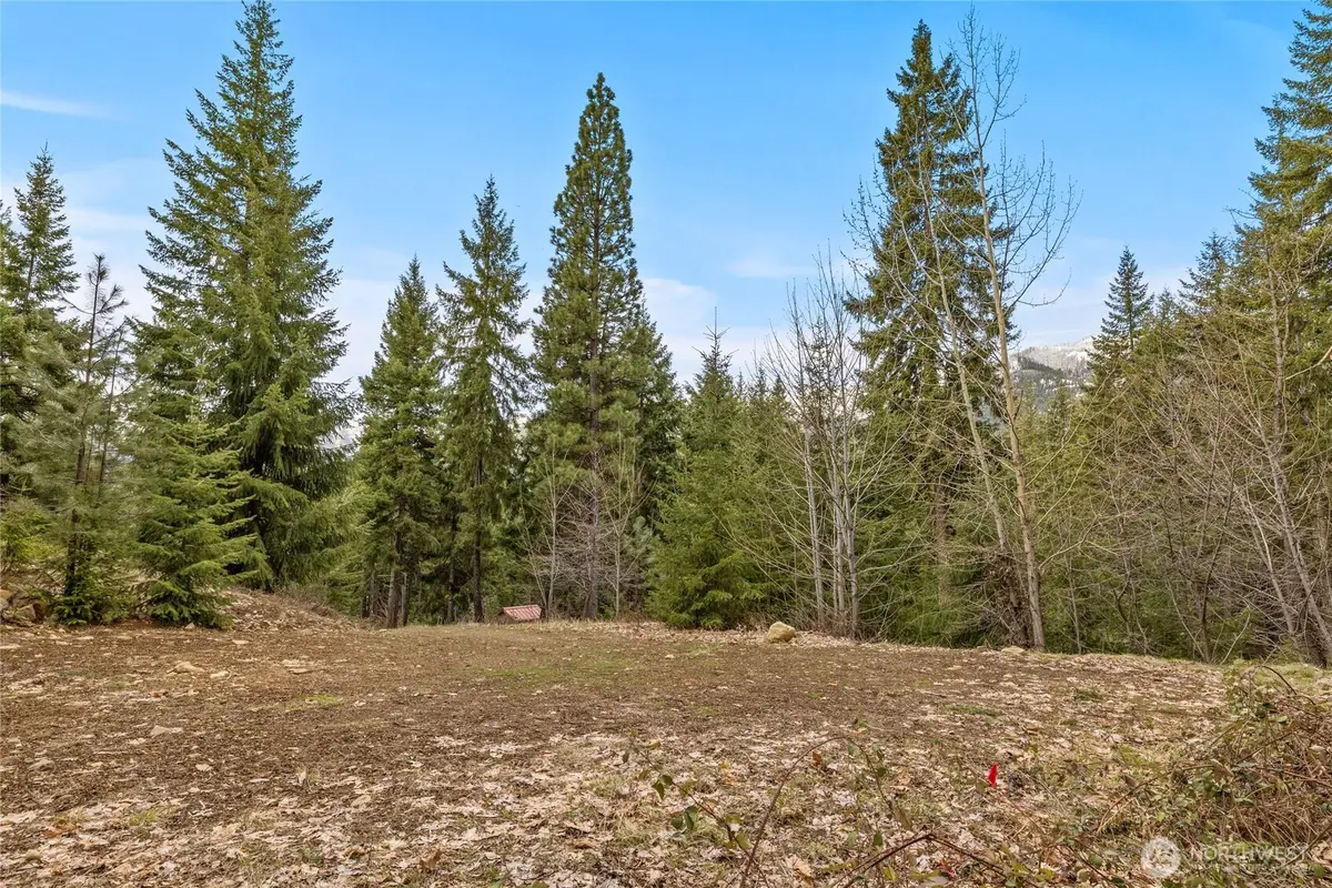 33 Lakeside Court, Ronald, WA 98940 - #1