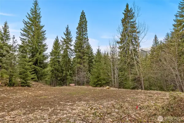 33 Lakeside Court, Ronald, WA 98940