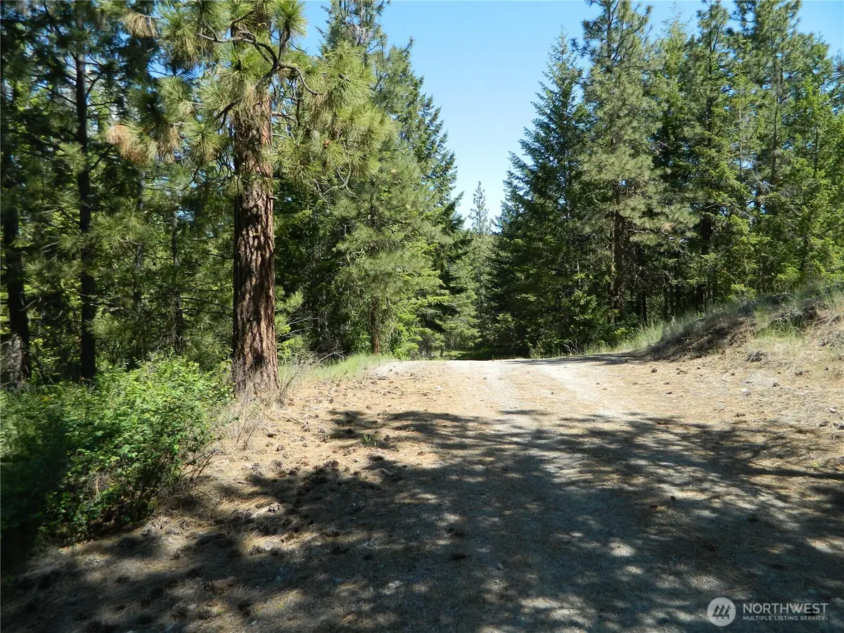0 Tbd Murphy Ranch Road, Tonasket, WA 98855 - #1