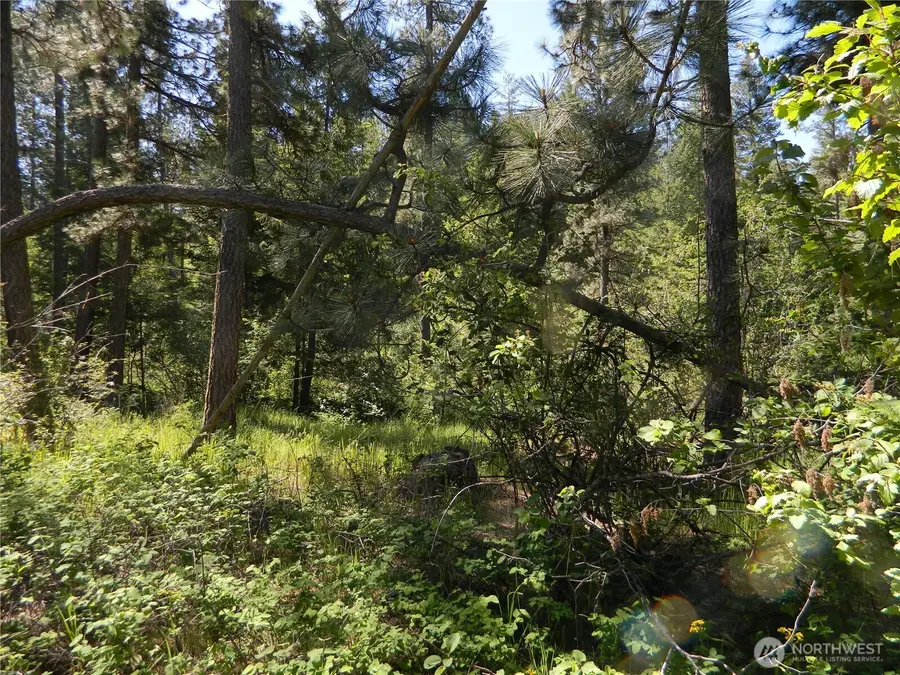 0 Tbd Murphy Ranch Road, Tonasket, WA 98855 - #2