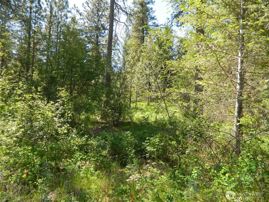 111 Tbd Murphy Ranch Road, Tonasket, WA 98855 - #2